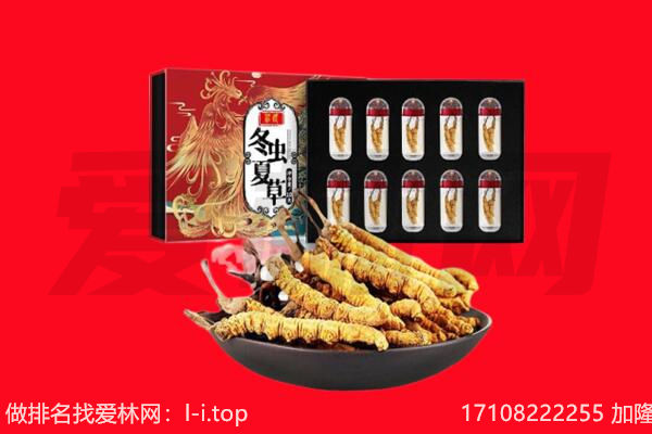 郧西县回收虫草.jpg